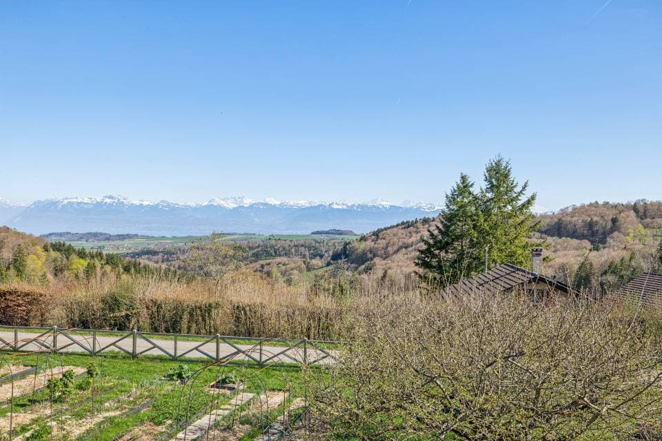 VUE ALPES ET LAC