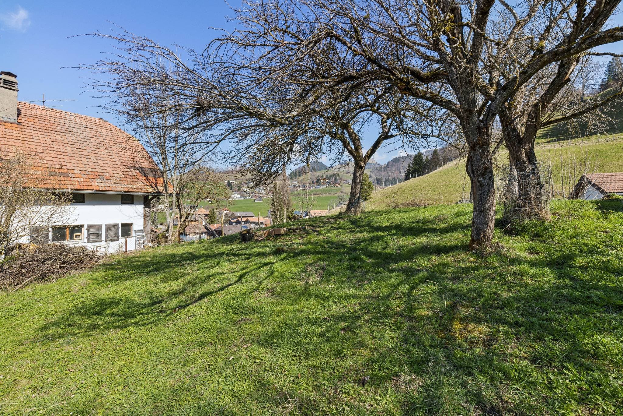 Le jardin